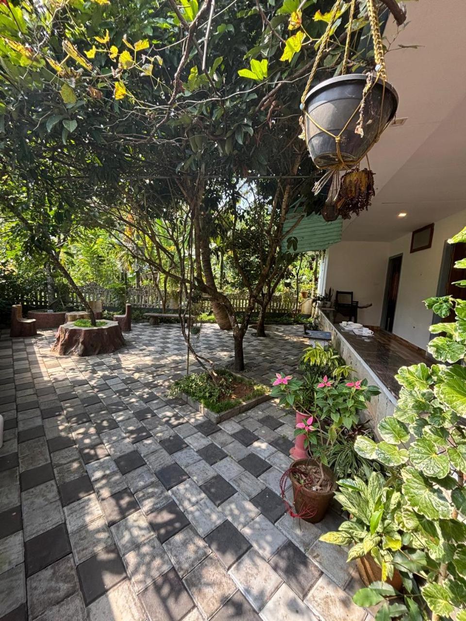 View Valley Homestay Munnar Exterior photo